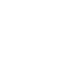 369 Tesla logo